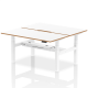 Rayleigh Air 2 Person Back-to-Back Height Adjustable Bench Desk